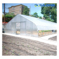 Hydroponics Farm Single-Span Agricultural Greenhouse